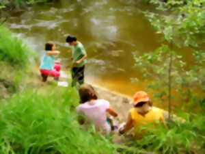 photo Atelier des tout petits naturalistes