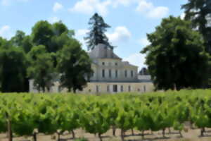 photo Les Estivités du Château Haut Nouchet
