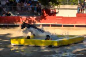 photo TORO PISCINE
