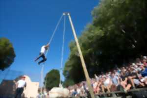 photo Fêtes de village :défilé de la tamborrada, méchoui, force basque