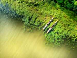 photo Balade nature en pirogue hawaïenne
