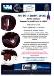 photo Nuit de la chauve-souris 2025