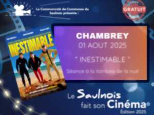 photo Le Saulnois fait son cinéma - Chambrey