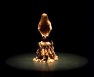 photo Spectacle de danse orientale