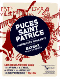 photo Marché aux puces de Bayeux : Puces Saint Patrice