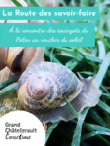 photo À la rencontre des escargots du Poitou au coucher du soleil