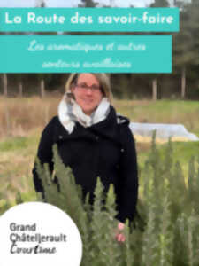 photo Les aromatiques et autres senteurs availlaises