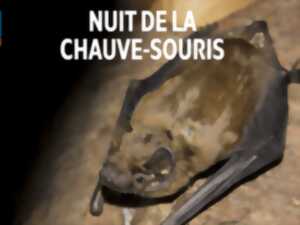 photo Nuit de la Chauve-Souris