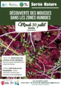 photo Découverte des mousses dans les zones humides