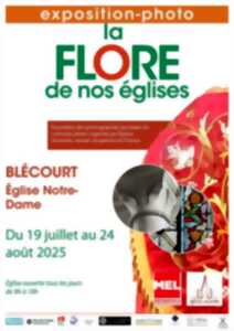 photo LA FLORE DE NOS EGLISES