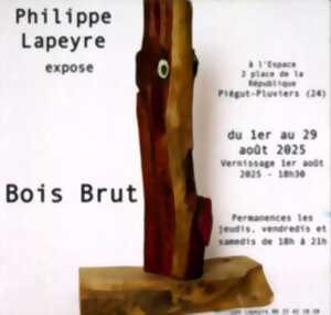 photo Exposition Bois Brut
