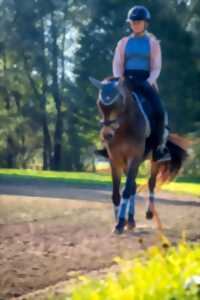 photo Cours d'équitation