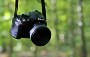 photo Exposition 