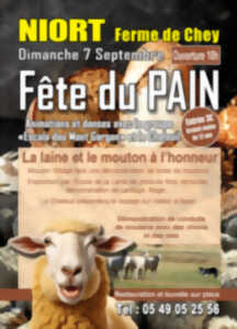 photo Fête du pain 2025 à Niort