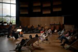 photo Déjeuner en musique