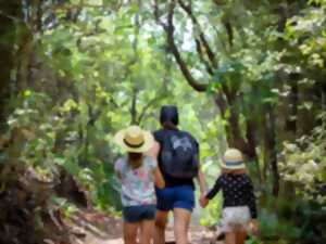 photo Balade en milieu naturel