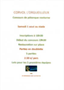 Concours de pétanque nocturne