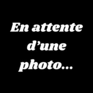 photo Exposition de sculptures