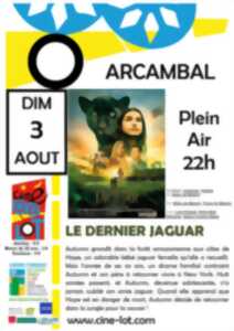 photo Ciné-Lot en plein air : 