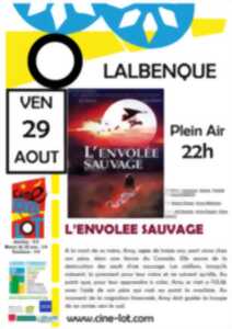 photo Ciné-Lot en plein air : 