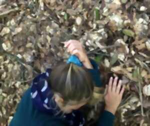 photo JOUER DANS LES BOIS