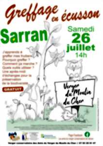 photo Atelier greffage