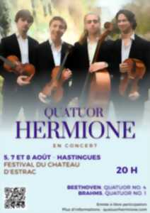 photo Concert Quatuor Hermione