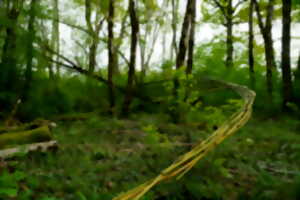 photo Animation Biodiversité