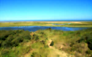 photo Rallye-Nature