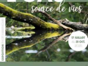 photo Exposition - L'eau, sources de vie