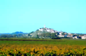 photo BALADES DU P'TIT BALUCHON : MONTADY : LE VIN À L’ÉPOQUE MÉDIÉVALE