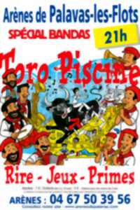 photo TORO PISCINE SPECIAL BANDAS