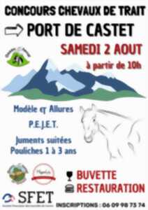 photo Concours de chevaux de trait