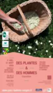 photo Expo - Des plantes et des hommes