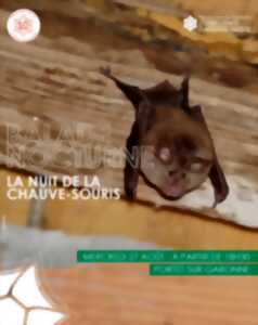 photo BALADE NOCTURNE: LA NUIT DES CHAUVE- SOURIS
