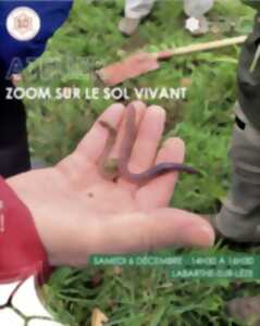 photo ATELIER : ZOOM SUR LE SOL VIVANT