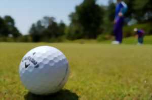 photo Concours de Mini-Golf