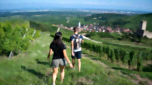 photo L'Échappée Vigneronne : balade de la vigne à la cave