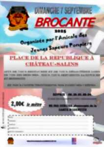 photo Brocante et vide grenier - Château Salins