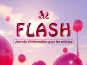 photo Journée d'information pour les artistes FLASH#3