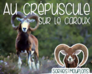 photo AU CRÉPUSCULE SUR LE CAROUX !