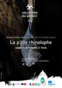 photo La p’tite rhinolophe : Balade contée crépusculaire sur les chauves-souris