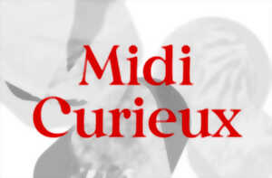 photo MIDI CURIEUX • L'APPEL DE LA FORÊT