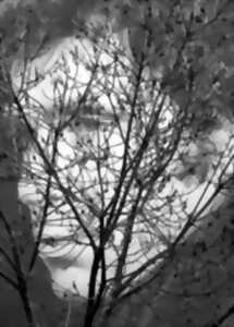 photo EXPOSITION PHOTOGRAPHIES TOUT SIMPLEMENT