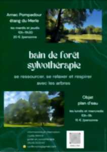 photo Animation : bain de forêt sylvothérapie