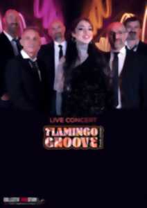photo ANIMATION MUSICALE AVEC FLAMINGO GROOVE