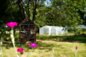 photo Animation Permaculture
