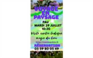 photo Voyage en paysage