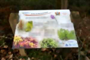 photo Traces dans la tourbière