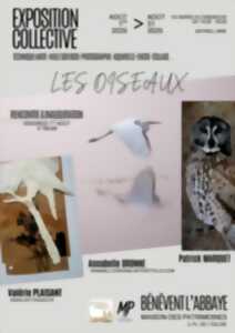 photo Exposition Les Oiseaux
